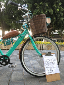 Tricimoto Cinderella´s Castle 2022 RIN RIN BICLAS