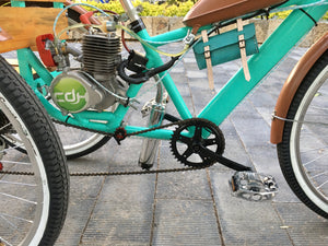 Tricimoto Cinderella´s Castle 2022 RIN RIN BICLAS