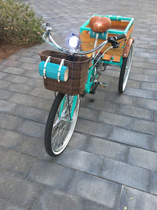 Tricimoto Cinderella´s Castle 2022 RIN RIN BICLAS