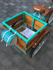 Tricimoto Cinderella´s Castle 2022 RIN RIN BICLAS
