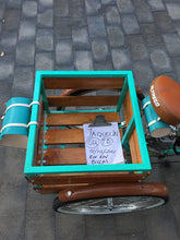 Cargar imagen en el visor de la galería, Tricimoto Cinderella´s Castle 2022 RIN RIN BICLAS
