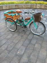 Cargar imagen en el visor de la galería, Tricimoto Cinderella´s Castle 2022 RIN RIN BICLAS

