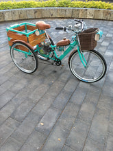 Cargar imagen en el visor de la galería, Tricimoto Cinderella´s Castle 2022 RIN RIN BICLAS
