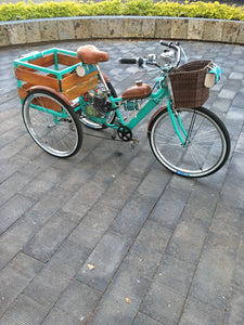 Tricimoto Cinderella´s Castle 2022 RIN RIN BICLAS