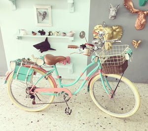 Slim D Sky Ferreira 2.0 RIN RIN BICLAS