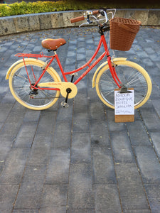 Paquete de bicicletas para hotel RIN RIN BICLAS