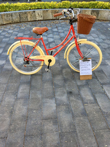 Paquete de bicicletas para hotel RIN RIN BICLAS