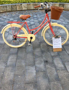 Paquete de bicicletas para hotel RIN RIN BICLAS