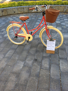 Paquete de bicicletas para hotel RIN RIN BICLAS