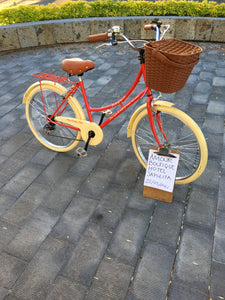 Paquete de bicicletas para hotel RIN RIN BICLAS
