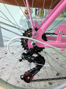 Hardluminium Everlasting Fun RIN RIN BICLAS