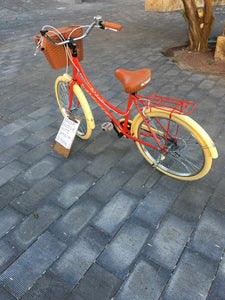 Paquete de bicicletas para hotel RIN RIN BICLAS