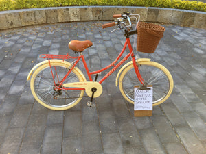 Paquete de bicicletas para hotel RIN RIN BICLAS