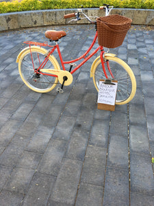 Paquete de bicicletas para hotel RIN RIN BICLAS