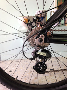 Montaña caballero r29 RIN RIN BICLAS