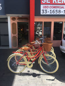 Paquete de bicicletas para hotel RIN RIN BICLAS