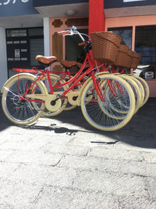 Paquete de bicicletas para hotel RIN RIN BICLAS