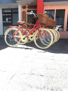 Paquete de bicicletas para hotel RIN RIN BICLAS