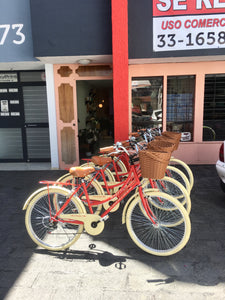 Paquete de bicicletas para hotel RIN RIN BICLAS