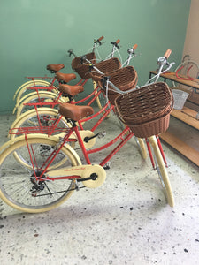 Paquete de bicicletas para hotel RIN RIN BICLAS