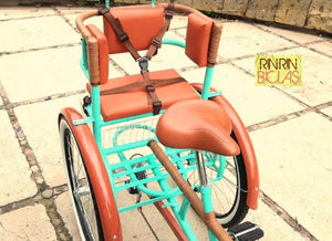 Tricicleta Cinderella's Castle Banca Alta RIN RIN BICLAS