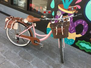 Londy Lali Puna RIN RIN BICLAS