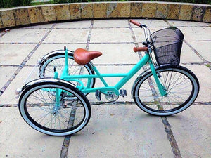 Tricicleta Plataforma Cinderella Sencillo RIN RIN BICLAS