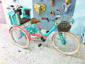 Tricicleta Sky Ferreira 2017 RIN RIN BICLAS