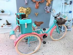 Tricicleta Sky Ferreira 2017 RIN RIN BICLAS
