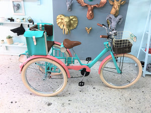 Tricicleta Sky Ferreira 2017 RIN RIN BICLAS