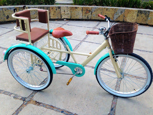 Tricicleta Paris 2016 RIN RIN BICLAS