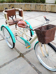 Tricicleta Paris 2016 RIN RIN BICLAS