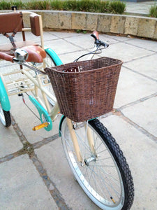 Tricicleta Paris 2016 RIN RIN BICLAS