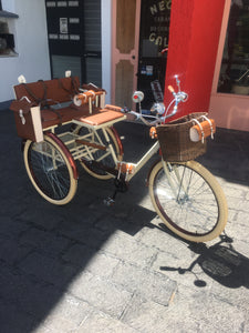 Tricicleta Chocolat 2.0 2021 RIN RIN BICLAS