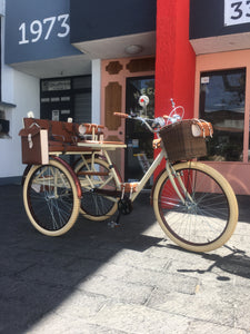Tricicleta Chocolat 2.0 2021 RIN RIN BICLAS