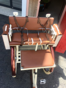 Tricicleta Chocolat 2.0 2021 RIN RIN BICLAS