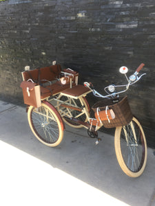 Tricicleta Chocolat 2.0 2021 RIN RIN BICLAS