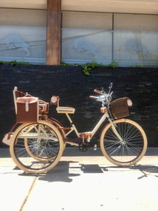 Tricicleta Chocolat 2.0 2021 RIN RIN BICLAS