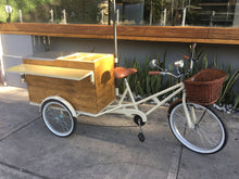 Cargar imagen en el visor de la galería, Food bike jalón Errante 2018 RIN RIN BICLAS
