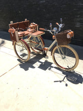Cargar imagen en el visor de la galería, Tricicleta Chocolat 2.0 2021 RIN RIN BICLAS
