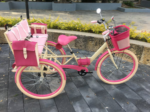 Tricicleta 2nd World 2022 RIN RIN BICLAS