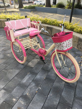 Cargar imagen en el visor de la galería, Tricicleta 2nd World 2022 RIN RIN BICLAS
