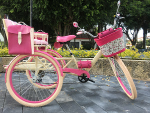 Tricicleta 2nd World 2022 RIN RIN BICLAS