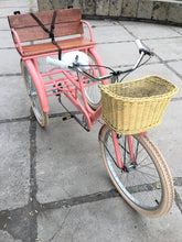 Cargar imagen en el visor de la galería, Tricicleta coco 2019 RIN RIN BICLAS
