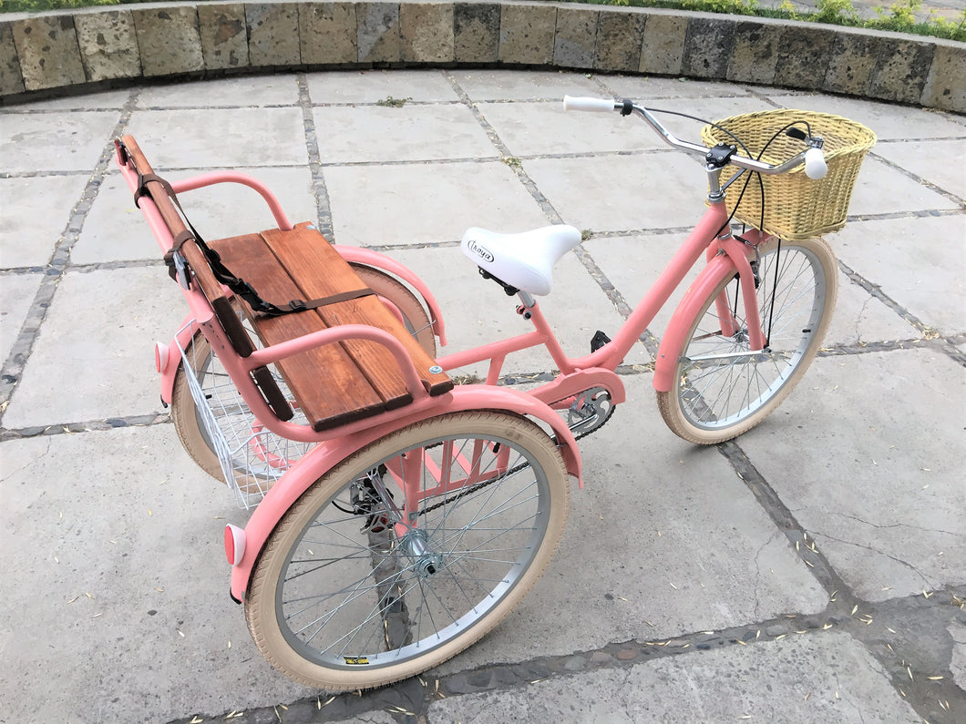 Tricicleta coco 2019 RIN RIN BICLAS