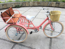 Cargar imagen en el visor de la galería, Tricicleta coco 2019 RIN RIN BICLAS
