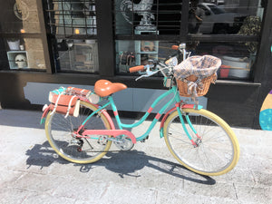 Slim D Sky Ferreira 4.0 RIN RIN BICLAS