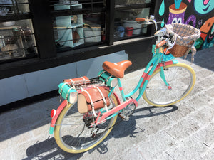 Slim D Sky Ferreira 4.0 RIN RIN BICLAS