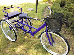 Tricicleta Deep Purple 2017 RIN RIN BICLAS