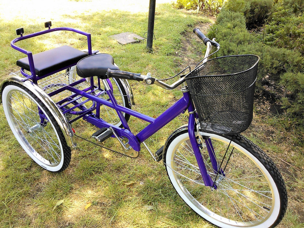 Tricicleta Deep Purple 2017 RIN RIN BICLAS